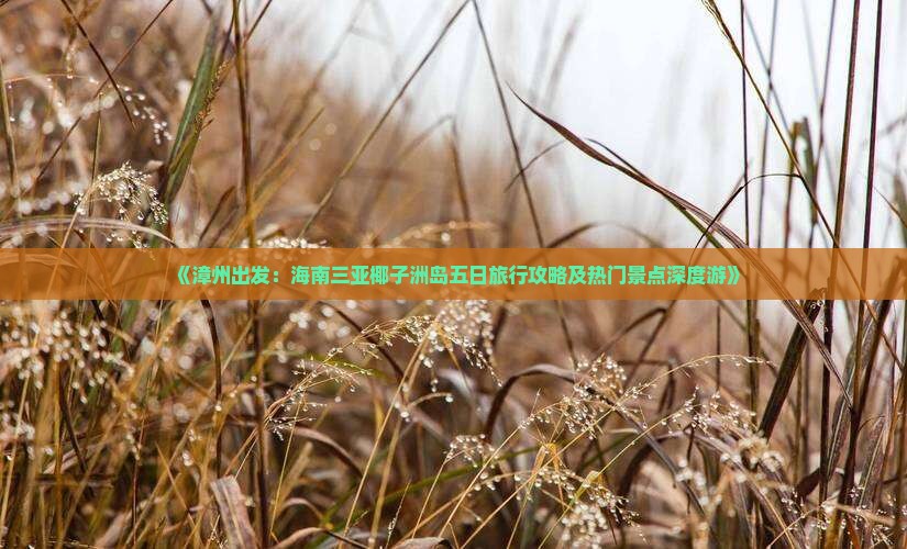 《漳州出发：海南三亚椰子洲岛五日旅行攻略及热门景点深度游》