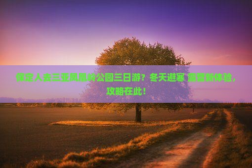 保定人去三亚凤凰岭公园三日游？冬天避寒+露营新体验，攻略在此！