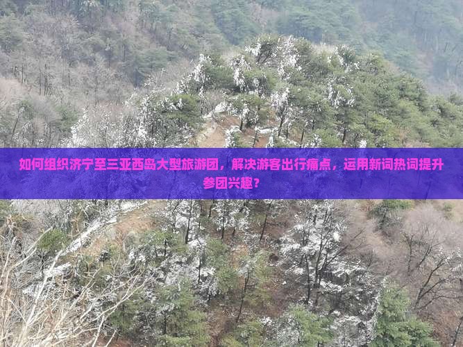 如何组织济宁至三亚西岛大型旅游团，解决游客出行痛点，运用新词热词提升参团兴趣？