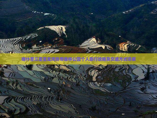 喀什至三亚亚龙湾热带森林公园个人旅行攻略及交通方式详解 喀什至三亚亚龙湾热带森林公园个人旅行攻略及交通方式详解