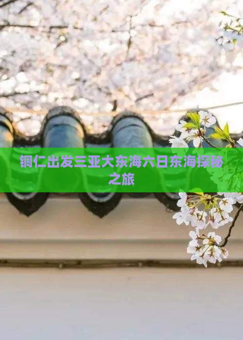 铜仁出发三亚大东海六日东海探秘之旅
