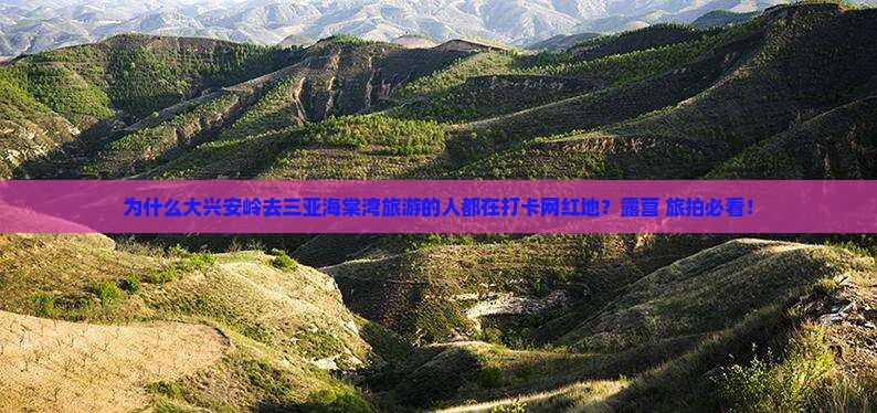 为什么大兴安岭去三亚海棠湾旅游的人都在打卡网红地？露营+旅拍必看！