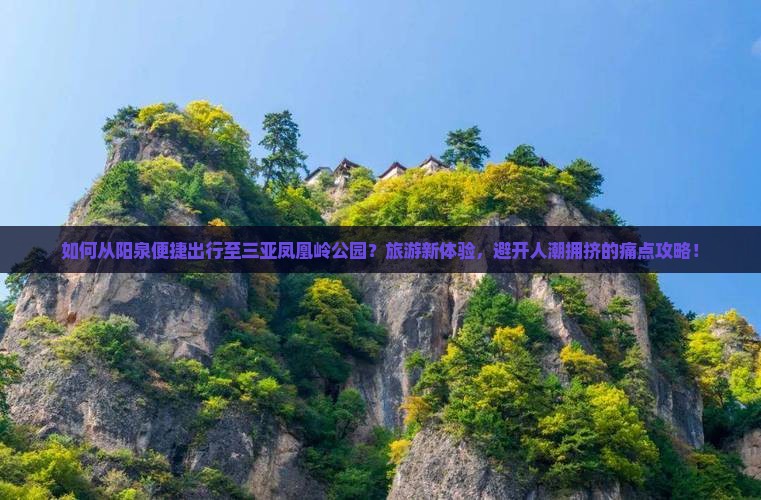 如何从阳泉便捷出行至三亚凤凰岭公园？旅游新体验，避开人潮拥挤的痛点攻略！