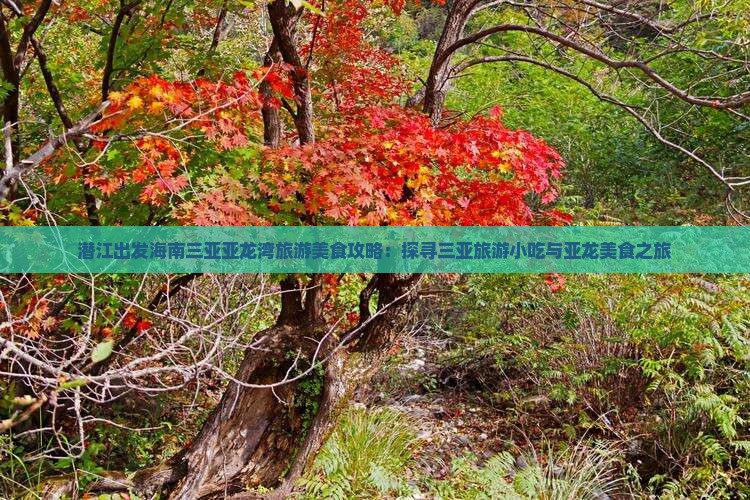 潜江出发海南三亚亚龙湾旅游美食攻略：探寻三亚旅游小吃与亚龙美食之旅