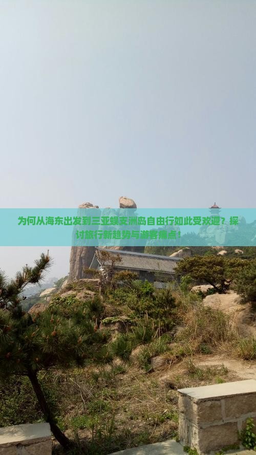 为何从海东出发到三亚蜈支洲岛自由行如此受欢迎？探讨旅行新趋势与游客痛点！