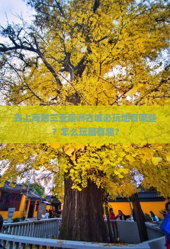 去上海到三亚崖洲古城必玩地有哪些？怎么玩最有趣？