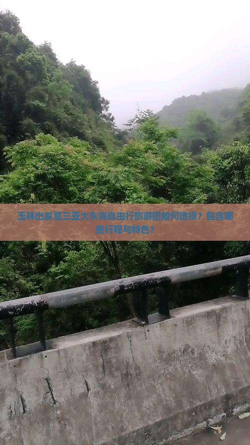玉林出发至三亚大东海自由行旅游团如何选择？包含哪些行程与特色？