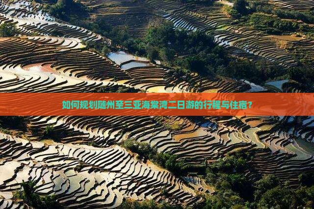如何规划随州至三亚海棠湾二日游的行程与住宿？