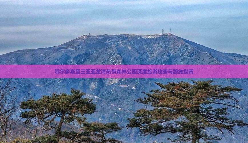 鄂尔多斯至三亚亚龙湾热带森林公园深度旅游攻略与路线指南