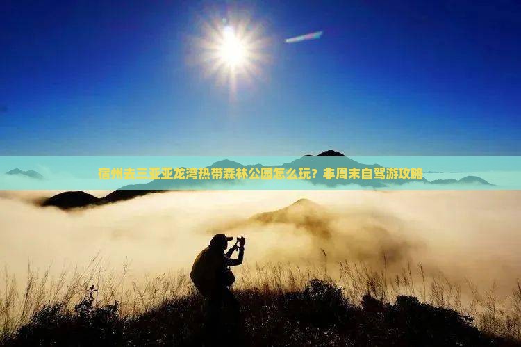 宿州去三亚亚龙湾热带森林公园怎么玩？非周末自驾游攻略