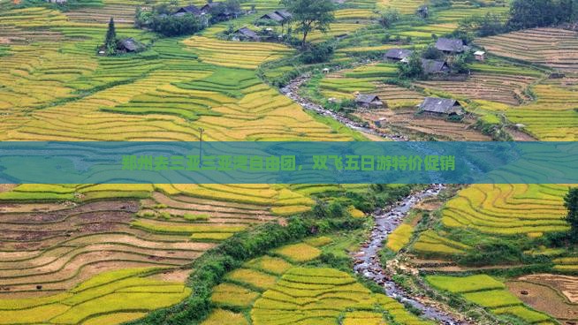 郑州去三亚三亚湾自由团，双飞五日游特价促销