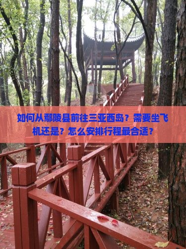 如何从鄢陵县前往三亚西岛？需要坐飞机还是？怎么安排行程最合适？