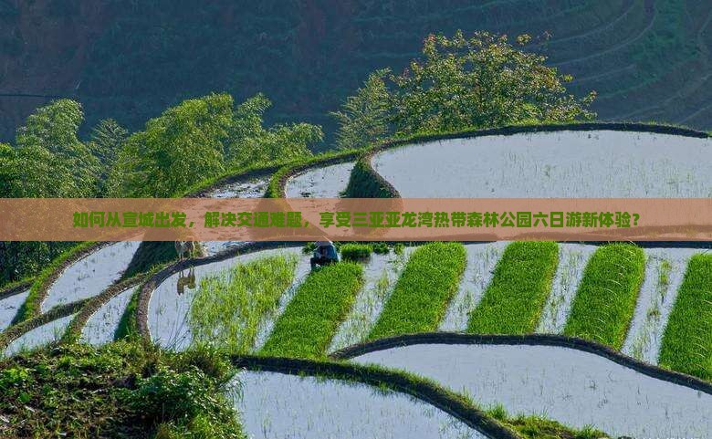 如何从宣城出发，解决交通难题，享受三亚亚龙湾热带森林公园六日游新体验？