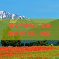 南宁出发至三亚海棠湾四日游，如何避免痛点实现高品质旅行体验？