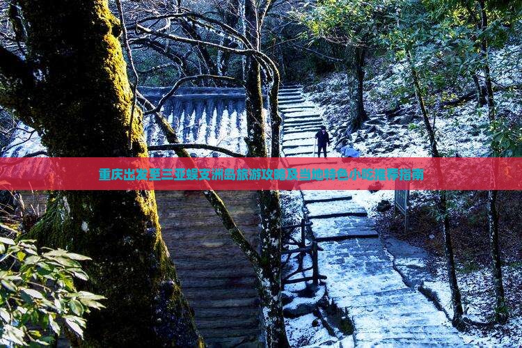 重庆出发至三亚蜈支洲岛旅游攻略及当地特色小吃推荐指南