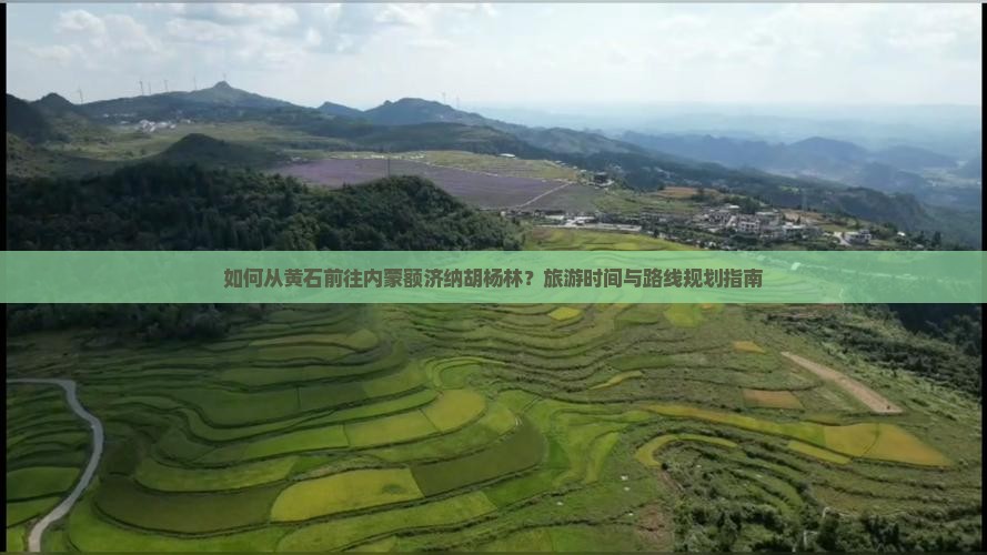 如何从黄石前往内蒙额济纳胡杨林？旅游时间与路线规划指南