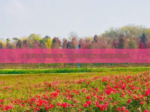 大庆到内蒙响沙湾二日游|内蒙古沙漠旅游攻略