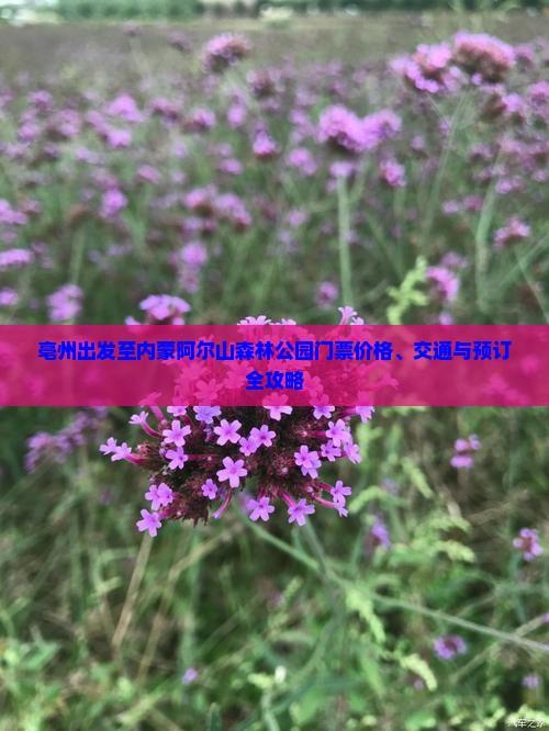 亳州出发至内蒙阿尔山森林公园门票价格、交通与预订全攻略
