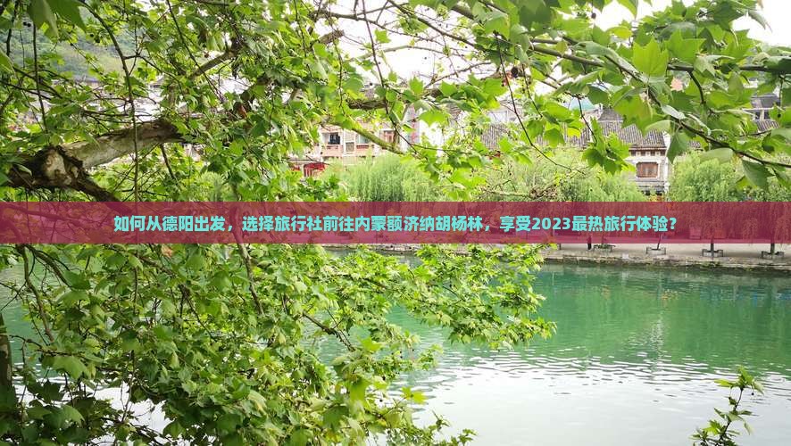 如何从德阳出发，选择旅行社前往内蒙额济纳胡杨林，享受2023最热旅行体验？