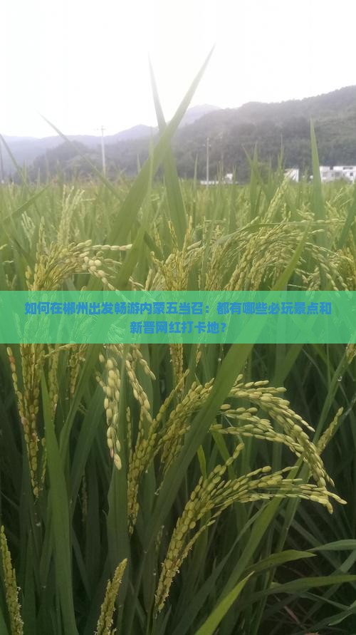 如何在郴州出发畅游内蒙五当召：都有哪些必玩景点和新晋网红打卡地？