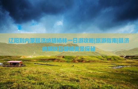 辽阳到内蒙额济纳胡杨林一日游攻略|旅游指南|额济纳旗秋日胡杨美景探秘