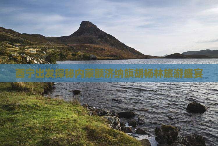 西宁出发探秘内蒙额济纳旗胡杨林旅游盛宴