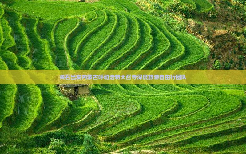 黄石出发内蒙古呼和浩特大召寺深度旅游自由行团队