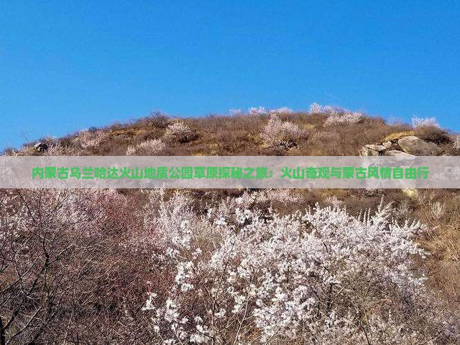 内蒙古乌兰哈达火山地质公园草原探秘之旅：火山奇观与蒙古风情自由行