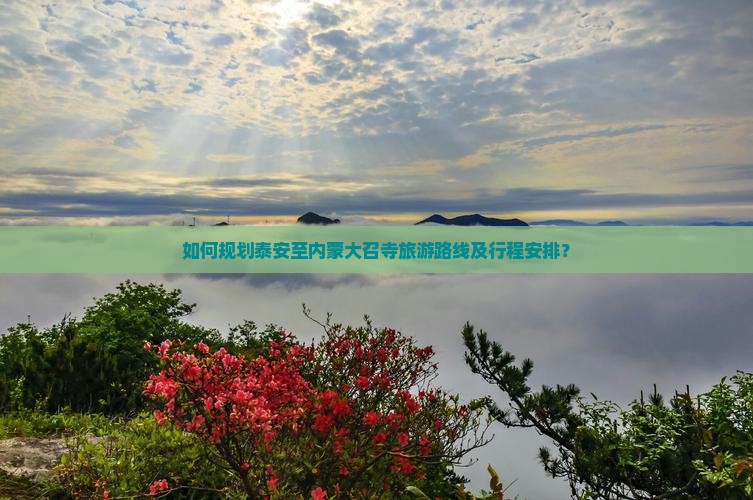 如何规划泰安至内蒙大召寺旅游路线及行程安排？