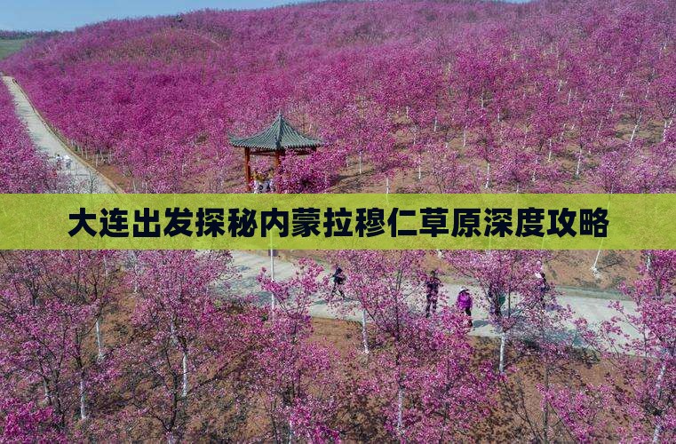 大连出发探秘内蒙拉穆仁草原深度攻略