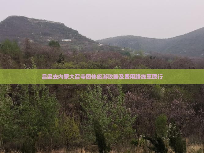 吕梁去内蒙大召寺团体旅游攻略及费用路线草原行 吕梁去内蒙大召寺团体旅游攻略及费用路线草原行