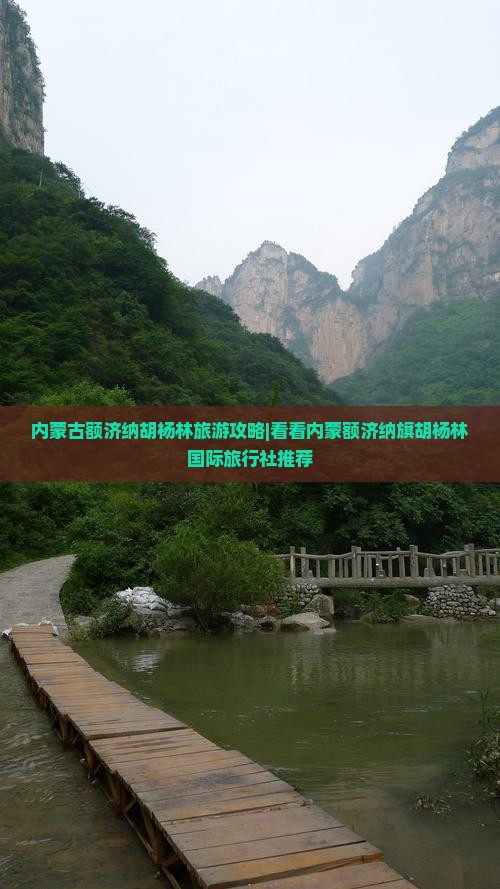 内蒙古额济纳胡杨林旅游攻略|看看内蒙额济纳旗胡杨林国际旅行社推荐