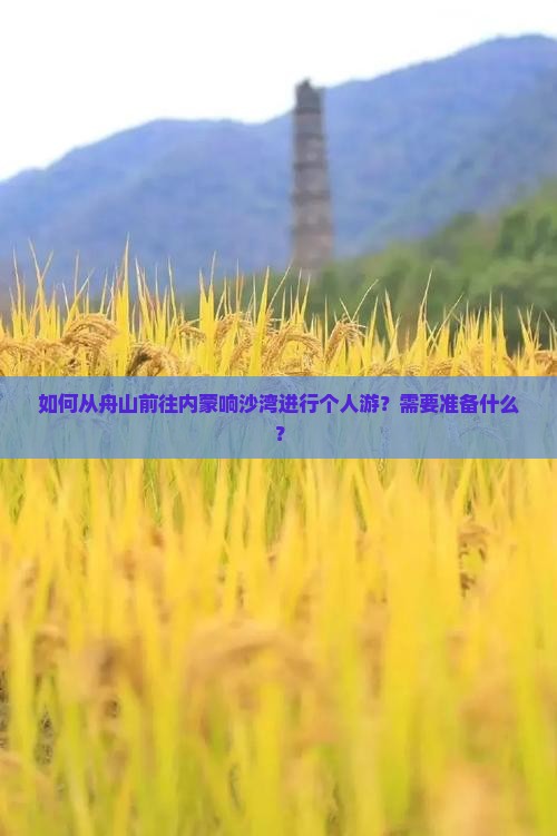如何从舟山前往内蒙响沙湾进行个人游？需要准备什么？