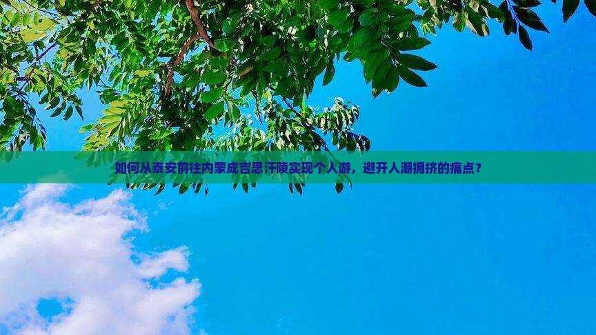 如何从泰安前往内蒙成吉思汗陵实现个人游，避开人潮拥挤的痛点？
