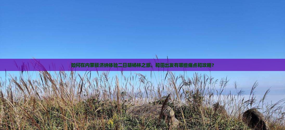如何在内蒙额济纳体验二日胡杨林之旅，和田出发有哪些痛点和攻略？