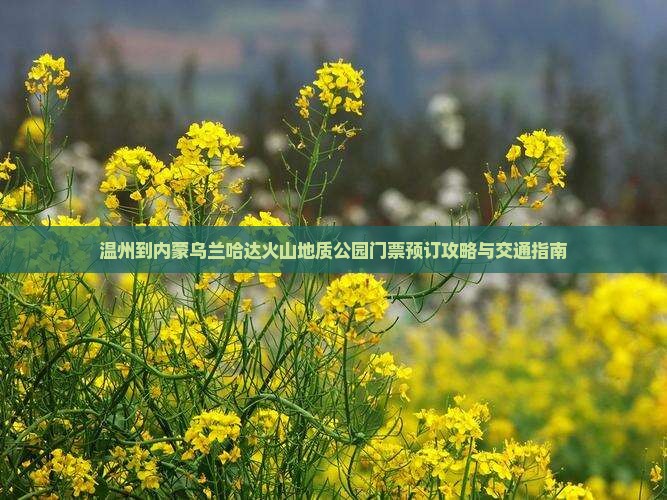 温州到内蒙乌兰哈达火山地质公园门票预订攻略与交通指南