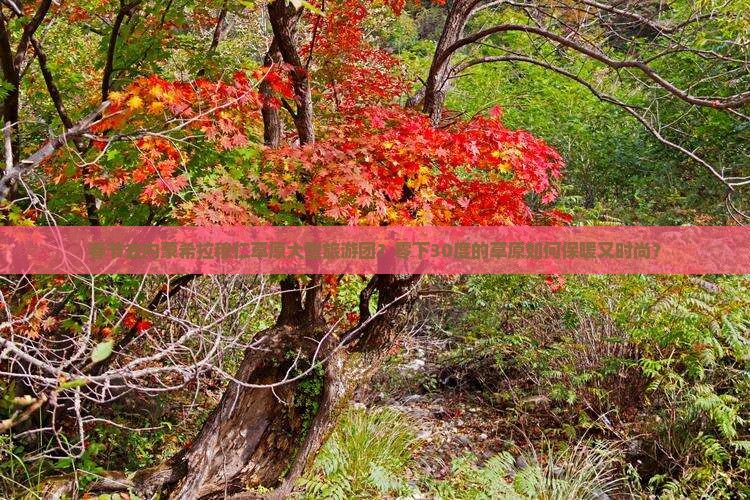 春节去内蒙希拉穆仁草原大型旅游团？零下30度的草原如何保暖又时尚？
