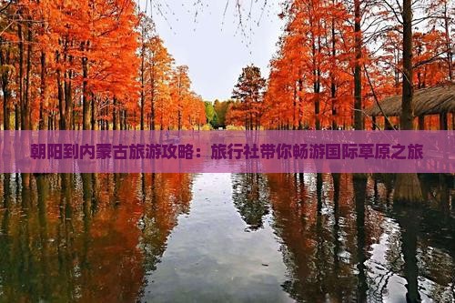 朝阳到内蒙古旅游攻略：旅行社带你畅游国际草原之旅