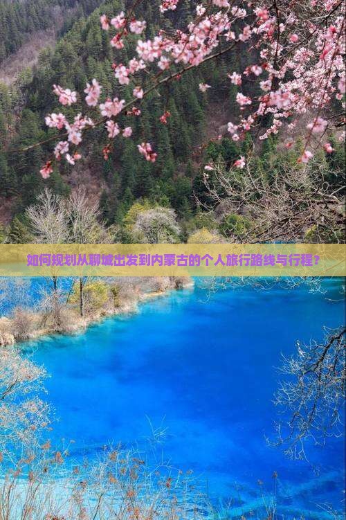 如何规划从聊城出发到内蒙古的个人旅行路线与行程？