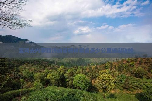 宝鸡去内蒙额济纳胡杨林景点多少公里旅游攻略