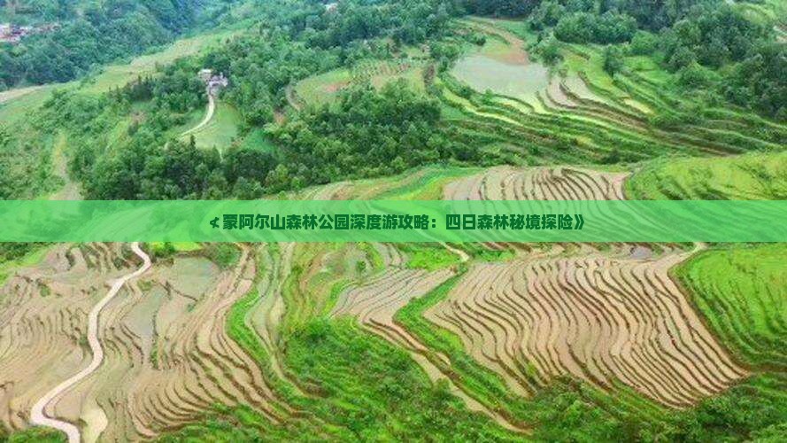 ≮蒙阿尔山森林公园深度游攻略：四日森林秘境探险》