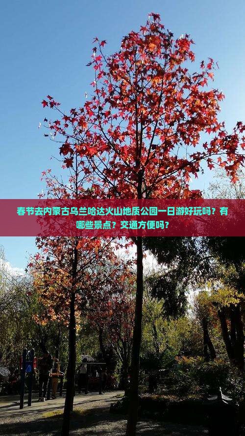 春节去内蒙古乌兰哈达火山地质公园一日游好玩吗？有哪些景点？交通方便吗？