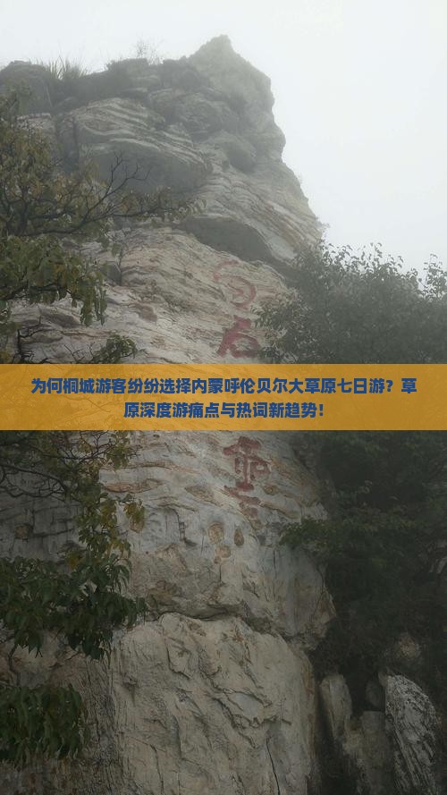 为何桐城游客纷纷选择内蒙呼伦贝尔大草原七日游？草原深度游痛点与热词新趋势！