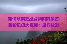 如何从莱芜出发畅游内蒙古呼伦贝尔大草原？旅行社哪些线路最？