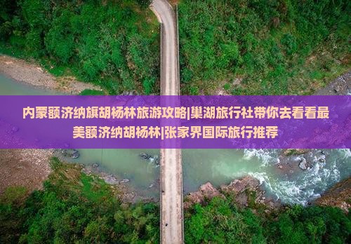 内蒙额济纳旗胡杨林旅游攻略|巢湖旅行社带你去看看最美额济纳胡杨林|张家界国际旅行推荐