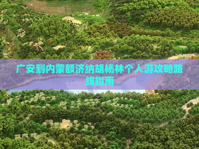 广安到内蒙额济纳胡杨林个人游攻略路线指南