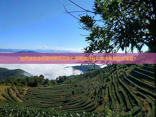 如何选择昌都至内蒙希拉穆仁草原旅行社以解决暑期出行难题？