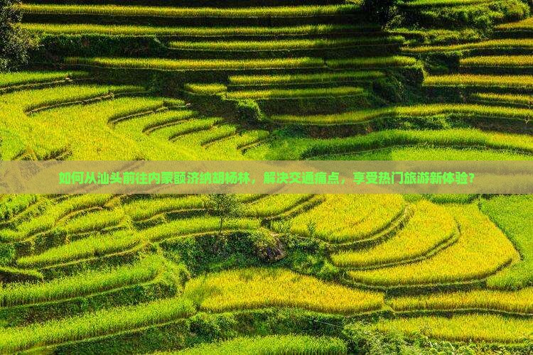 如何从汕头前往内蒙额济纳胡杨林，解决交通痛点，享受热门旅游新体验？