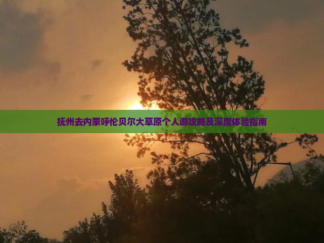 抚州去内蒙呼伦贝尔大草原个人游攻略及深度体验指南