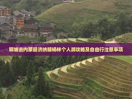 聊城去内蒙额济纳胡杨林个人游攻略及自由行注意事项